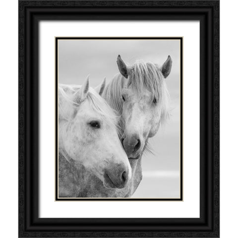Horse Kisses Black Ornate Wood Framed Art Print with Double Matting by Walker, Carol