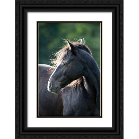 Mystic One Black Ornate Wood Framed Art Print with Double Matting by Walker, Carol