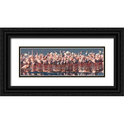 Flamingo Paradise Black Ornate Wood Framed Art Print with Double Matting by Walker, Carol