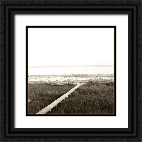 Serene View Black Ornate Wood Framed Art Print with Double Matting by Wilson, Kali