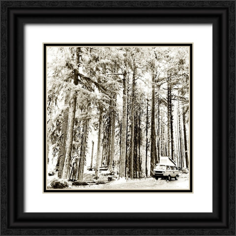 Snow In The Forest Black Ornate Wood Framed Art Print with Double Matting by Wilson, Kali