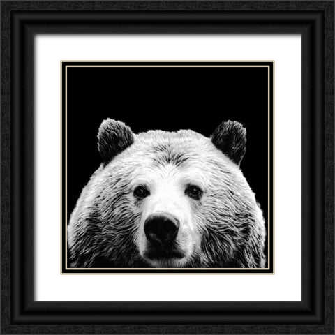 Furry Friends On Black I Black Ornate Wood Framed Art Print with Double Matting by SD Graphics Studio