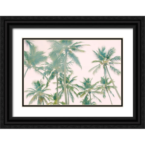 Top Of Palm Island Black Ornate Wood Framed Art Print with Double Matting by Navas, Emily