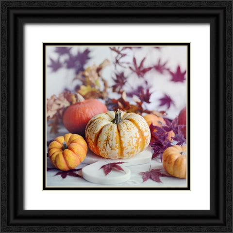 A Bright Harvest I Black Ornate Wood Framed Art Print with Double Matting by Gardner, Sarah