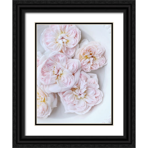Pink Floating Floral Black Ornate Wood Framed Art Print with Double Matting by Gardner, Sarah