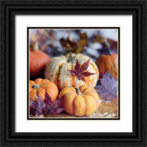 A Bright Harvest II Black Ornate Wood Framed Art Print with Double Matting by Gardner, Sarah