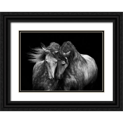 Horses in Love Black Ornate Wood Framed Art Print with Double Matting by Walker, Carol