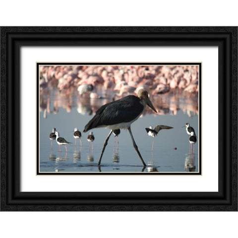 Among the Flock I Black Ornate Wood Framed Art Print with Double Matting by Walker, Carol