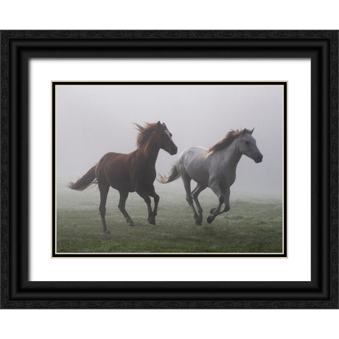Running Wild Black Ornate Wood Framed Art Print with Double Matting by Walker, Carol