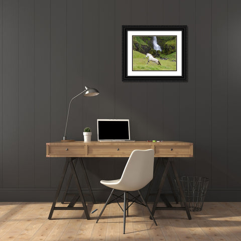 Waterfull Run Black Ornate Wood Framed Art Print with Double Matting by Walker, Carol