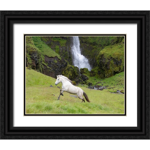 Waterfull Run Black Ornate Wood Framed Art Print with Double Matting by Walker, Carol