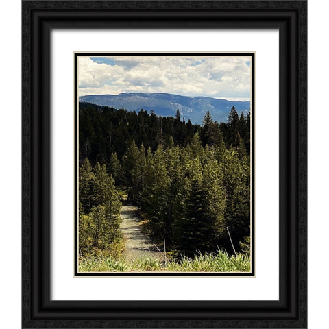 Mountain Stream Black Ornate Wood Framed Art Print with Double Matting by Coppel, Anna