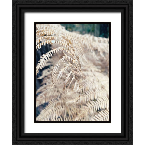 Cream Fern Black Ornate Wood Framed Art Print with Double Matting by Jane, Sarah