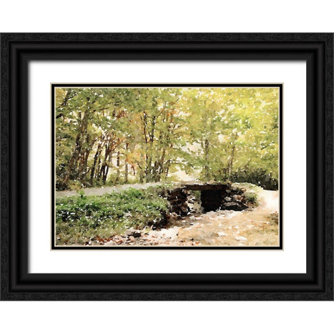 Dappled Stream Black Ornate Wood Framed Art Print with Double Matting by Mansfield, Kathy