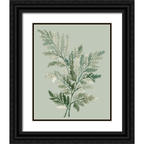 Tonal Green Ferns I Black Ornate Wood Framed Art Print with Double Matting by Medley, Elizabeth