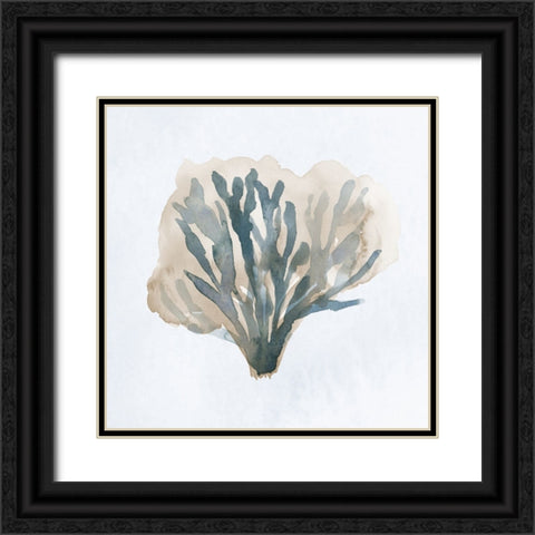 Atlantic Coral I Black Ornate Wood Framed Art Print with Double Matting by Price, Lucille