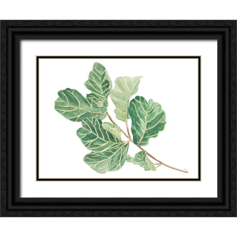 Fiddle Fig Leaf II Black Ornate Wood Framed Art Print with Double Matting by Pinto, Patricia