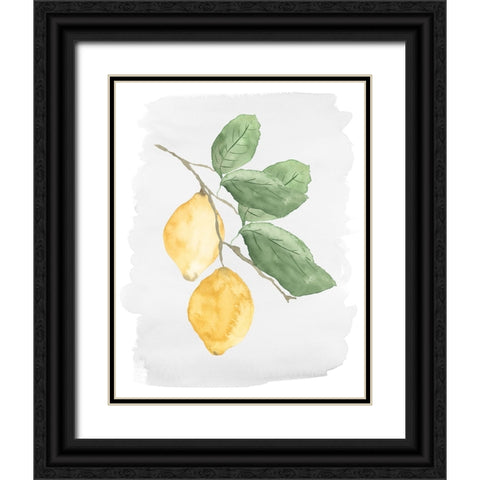 Fresh Lemons Black Ornate Wood Framed Art Print with Double Matting by Price, Lucille