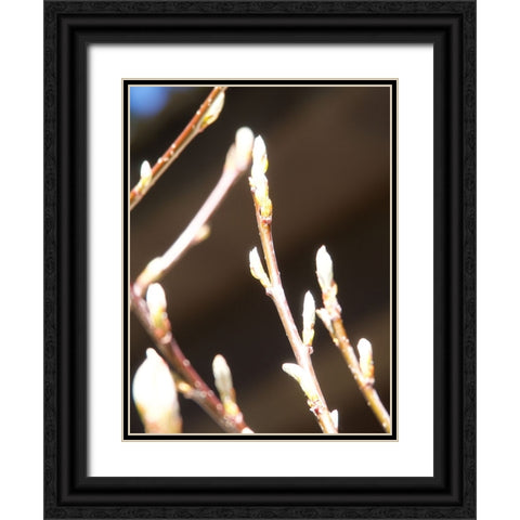 Into Nature II Black Ornate Wood Framed Art Print with Double Matting by Hyler, JB