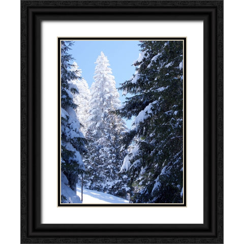 Frosted Tree Black Ornate Wood Framed Art Print with Double Matting by Hyler, JB