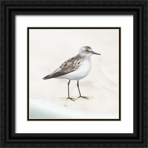 Sandpiper on the Beach I Black Ornate Wood Framed Art Print with Double Matting by Sheppard, Lucca