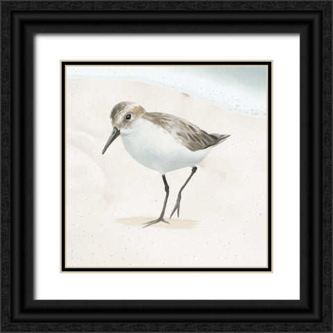Sandpiper on the Beach II Black Ornate Wood Framed Art Print with Double Matting by Sheppard, Lucca