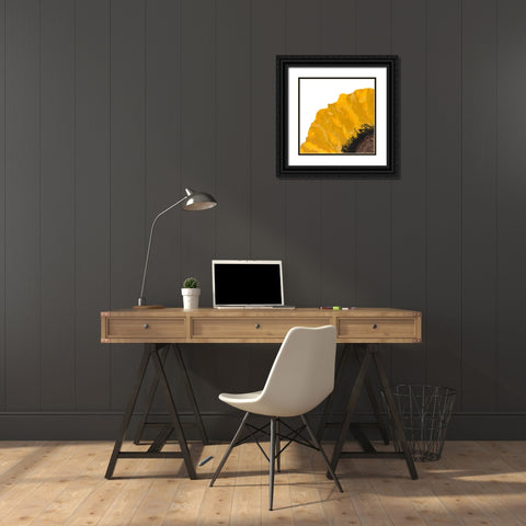Yellow Petal Black Ornate Wood Framed Art Print with Double Matting by Grace, Ajoya
