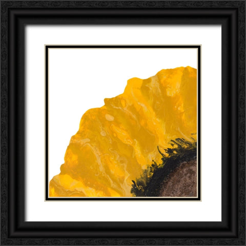 Yellow Petal Black Ornate Wood Framed Art Print with Double Matting by Grace, Ajoya