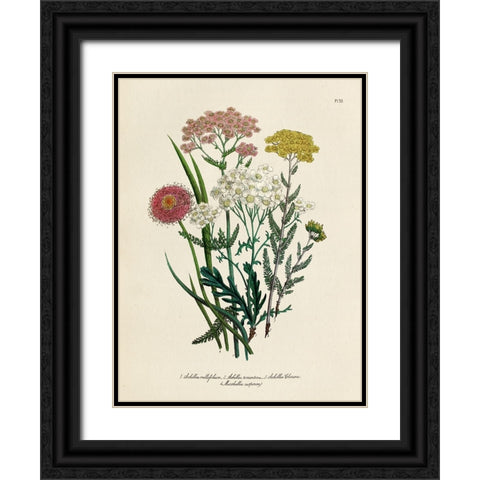 Vintage Flowers II Black Ornate Wood Framed Art Print with Double Matting by Piddix