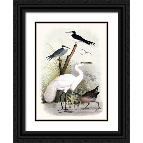 Little Egret and Friends Black Ornate Wood Framed Art Print with Double Matting by Piddix