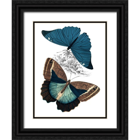 Butterfly Study II Black Ornate Wood Framed Art Print with Double Matting by Piddix