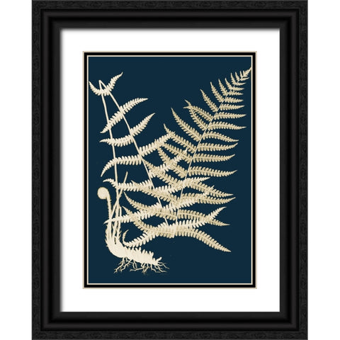 Ferns II Black Ornate Wood Framed Art Print with Double Matting by Piddix