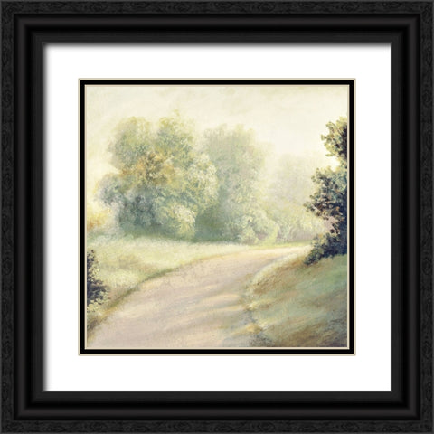 New Light Summer Road II Black Ornate Wood Framed Art Print with Double Matting by Marcon, Michael