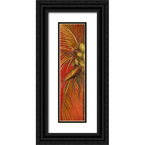 Mis Cocos I Black Ornate Wood Framed Art Print with Double Matting by Pinto, Patricia