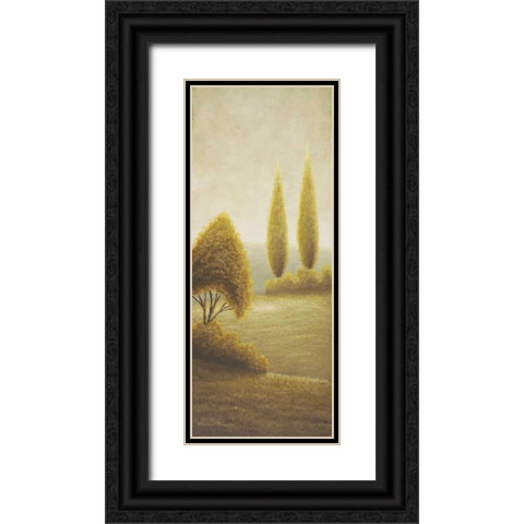 Beyond Elgin I-evergreen trees Black Ornate Wood Framed Art Print with Double Matting by Marcon, Michael