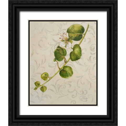 Botanica I Black Ornate Wood Framed Art Print with Double Matting by Pinto, Patricia