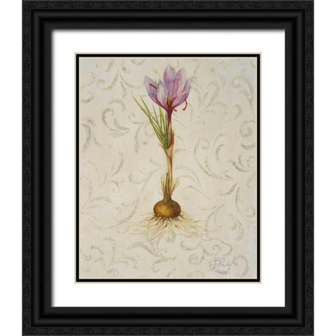 Botanica III Black Ornate Wood Framed Art Print with Double Matting by Pinto, Patricia