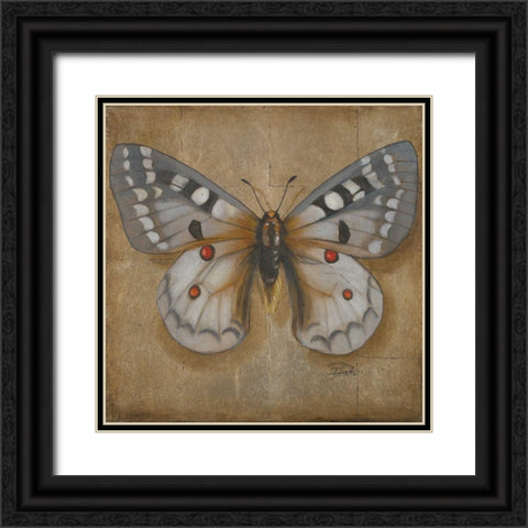 Butterfly II Black Ornate Wood Framed Art Print with Double Matting by Pinto, Patricia