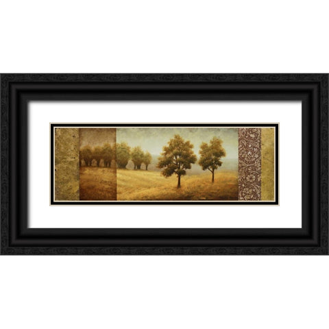 Golden Valley I Black Ornate Wood Framed Art Print with Double Matting by Marcon, Michael
