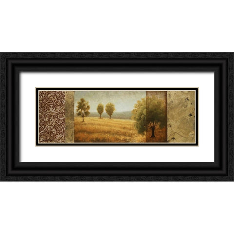Golden Valley II Black Ornate Wood Framed Art Print with Double Matting by Marcon, Michael