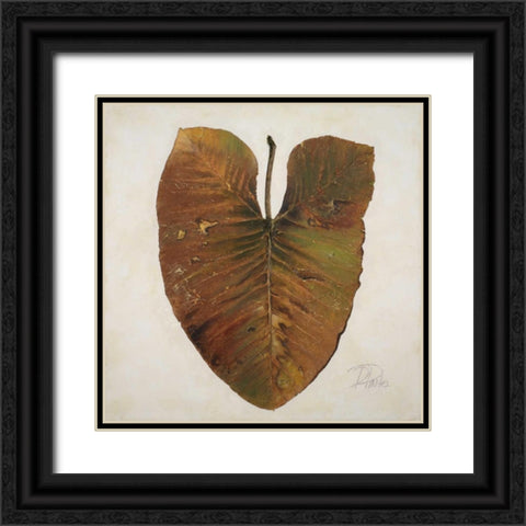 Amazonas II Black Ornate Wood Framed Art Print with Double Matting by Pinto, Patricia