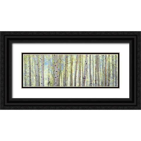 Aspen Black Ornate Wood Framed Art Print with Double Matting by Lake, Shelley