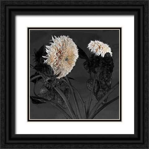 Sunflowers I Black Ornate Wood Framed Art Print with Double Matting by Lake, Shelley