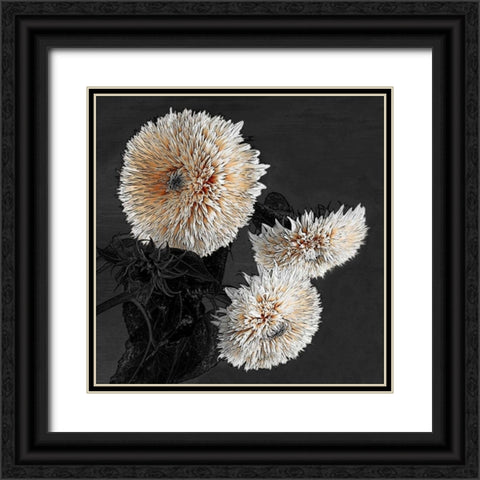 Sunflowers II Black Ornate Wood Framed Art Print with Double Matting by Lake, Shelley