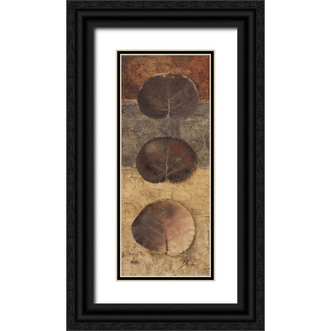 Eco-logic II Black Ornate Wood Framed Art Print with Double Matting by Pinto, Patricia