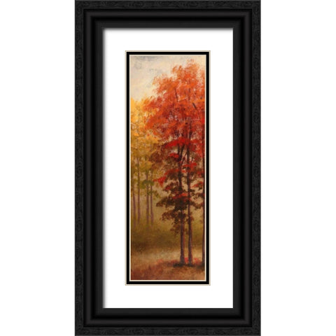 Fall Trees II Black Ornate Wood Framed Art Print with Double Matting by Marcon, Michael