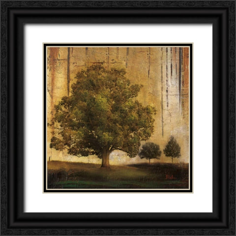 Aged Tree II Black Ornate Wood Framed Art Print with Double Matting by Pinto, Patricia