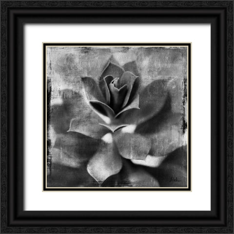 BW Succulent Border I Black Ornate Wood Framed Art Print with Double Matting by Pinto, Patricia