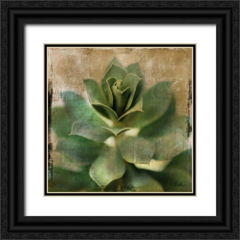Succulent I Black Ornate Wood Framed Art Print with Double Matting by Pinto, Patricia