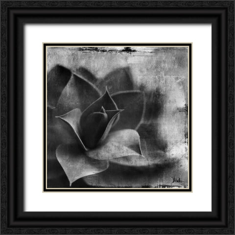 BW Succulent Border II Black Ornate Wood Framed Art Print with Double Matting by Pinto, Patricia